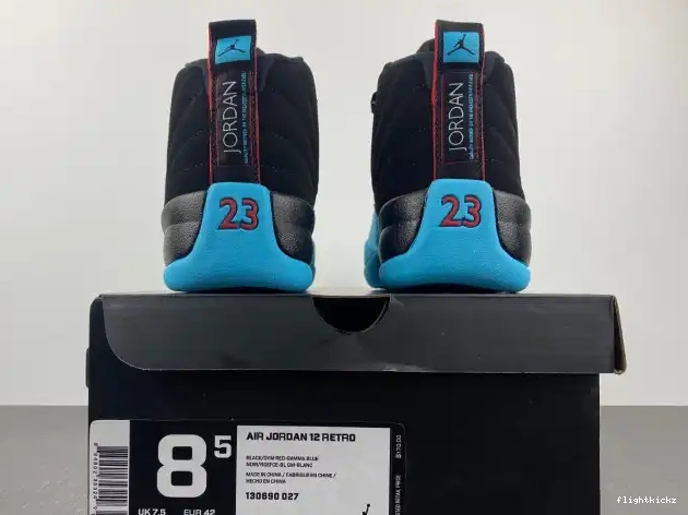 12 Blue Gamma Retro Jordan 130690-027 0610